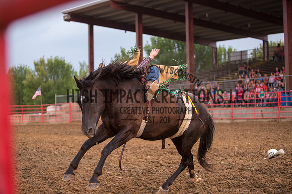 Ogle County Fair Rodeo | Big Hat Rodeo