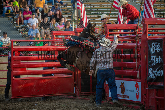 Big Hat Rodeo | Grayslake Rodeo | Lake County Fair