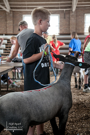 Janesville Photographers Rock County 4-H Fair Photographs
