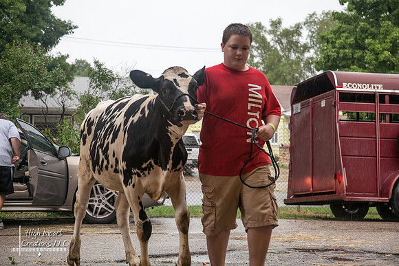 Janesville Photographers Rock County 4-H Fair Photographs
