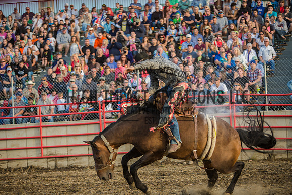Big Hat Rodeo | Grayslake Rodeo | Lake County Fair