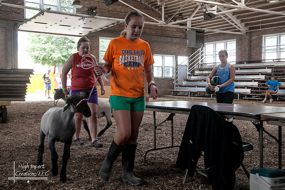 Janesville Photographers Rock County 4-H Fair Photographs