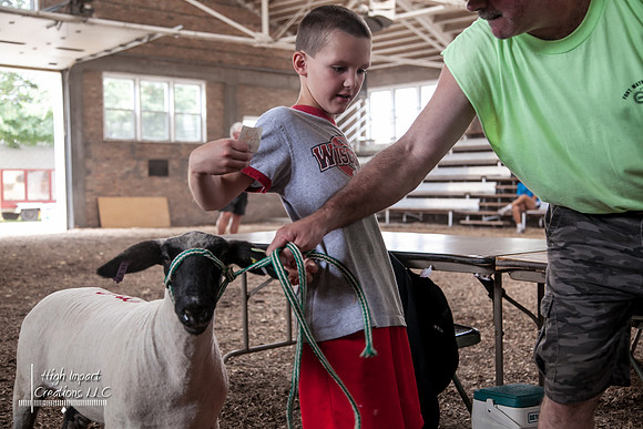 Janesville Photographers Rock County 4-H Fair Photographs