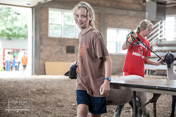 Janesville Photographers Rock County 4-H Fair Photographs