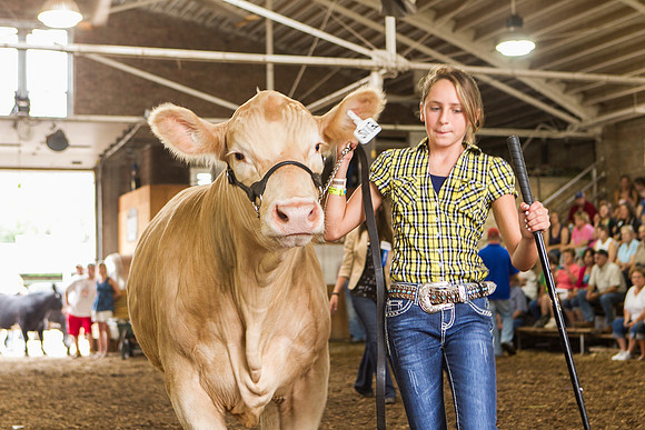 Photograph of Rock County 4-H Fair Taken 7-26-12