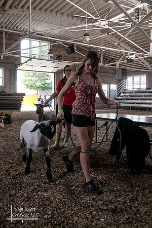 Janesville Photographers Rock County 4-H Fair Photographs