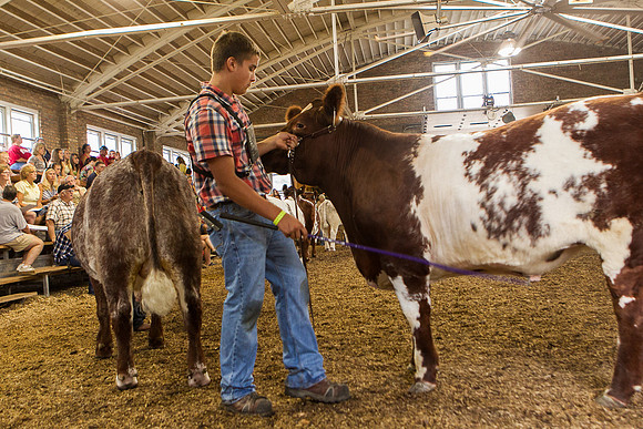 Photograph of Rock County 4-H Fair Taken 7-26-12