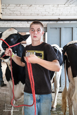 Janesville Photographers Rock County 4-H Fair Photographs