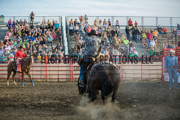 Big Hat Rodeo | Grayslake Rodeo | Lake County Fair