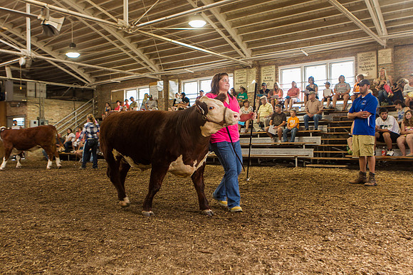 Photograph of Rock County 4-H Fair Taken 7-26-12