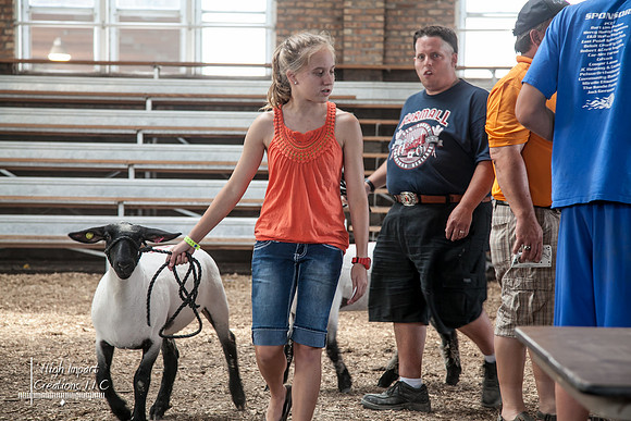 Janesville Photographers Rock County 4-H Fair Photographs