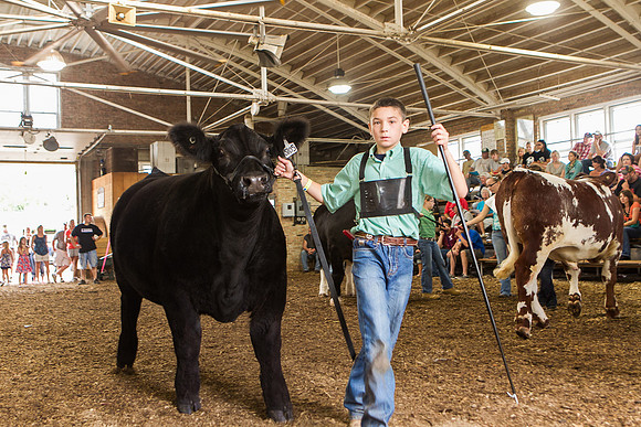 Photograph of Rock County 4-H Fair Taken 7-26-12