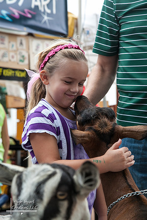 Janesville Photographers Rock County 4-H Fair Photographs