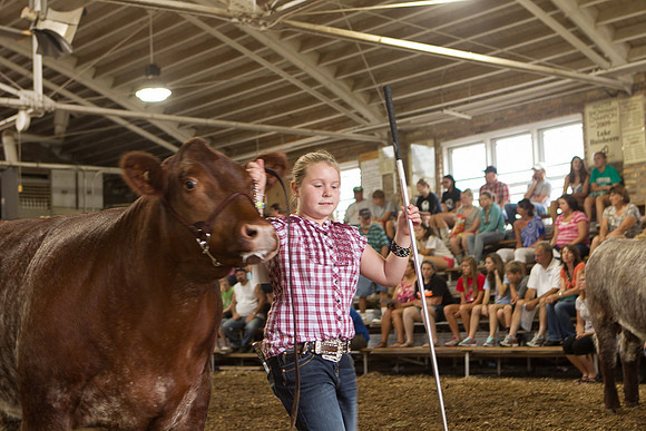 Photograph of Rock County 4-H Fair Taken 7-26-12