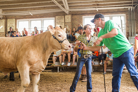 Photograph of Rock County 4-H Fair Taken 7-26-12