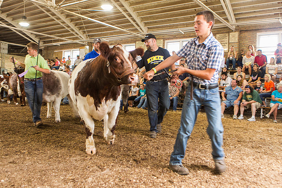 Photograph of Rock County 4-H Fair Taken 7-26-12