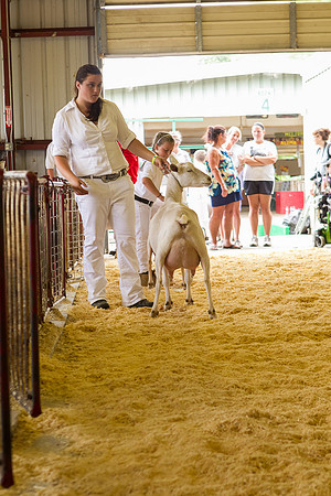 Photograph of Rock County 4-H Fair Taken 7-26-12