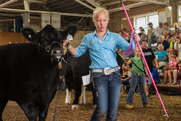 Photograph of Rock County 4-H Fair Taken 7-26-12
