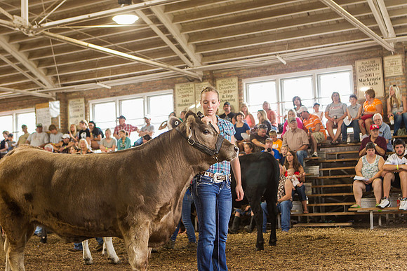 Photograph of Rock County 4-H Fair Taken 7-26-12