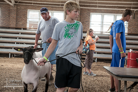 Janesville Photographers Rock County 4-H Fair Photographs