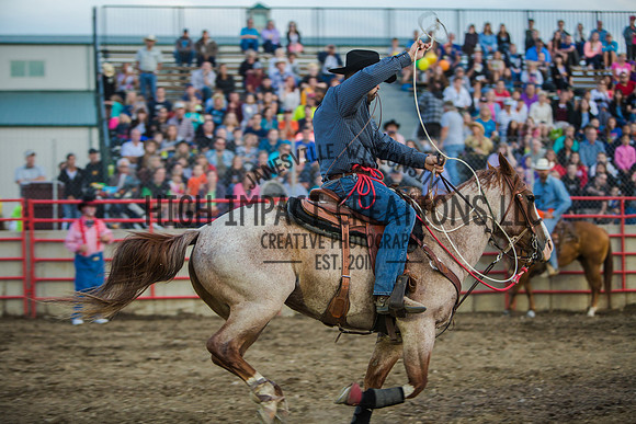 Big Hat Rodeo | Grayslake Rodeo | Lake County Fair