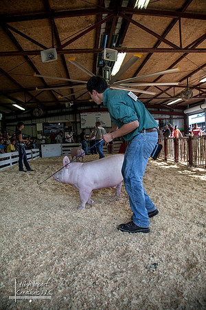 Janesville Photographers Rock County 4-H Fair Photographs