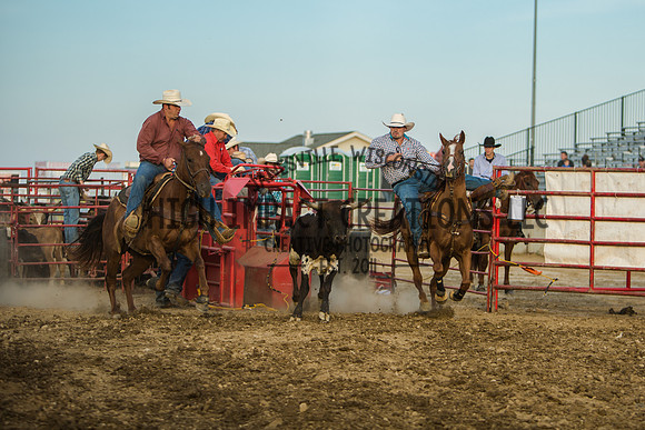 Big Hat Rodeo | Grayslake Rodeo | Lake County Fair