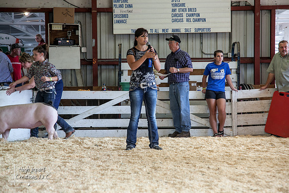 Janesville Photographers Rock County 4-H Fair Photographs