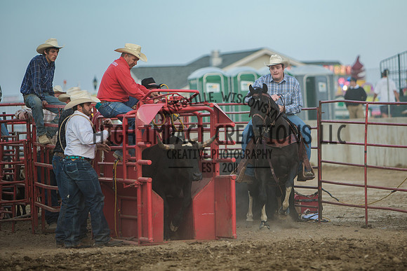 Big Hat Rodeo | Grayslake Rodeo | Lake County Fair