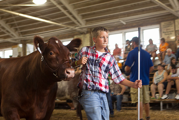 Photograph of Rock County 4-H Fair Taken 7-26-12
