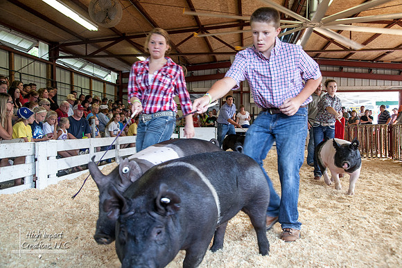 Janesville Photographers Rock County 4-H Fair Photographs