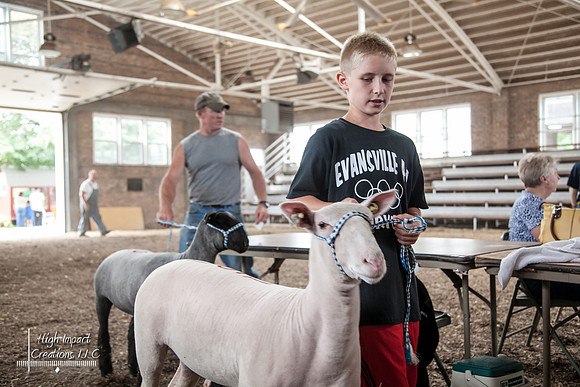 Janesville Photographers Rock County 4-H Fair Photographs