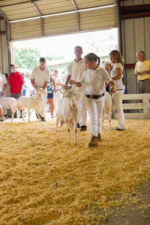 Photograph of Rock County 4-H Fair Taken 7-26-12