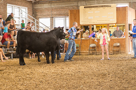 Photograph of Rock County 4-H Fair Taken 7-26-12