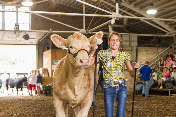 Photograph of Rock County 4-H Fair Taken 7-26-12