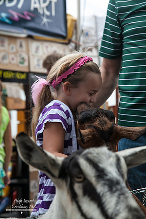 Janesville Photographers Rock County 4-H Fair Photographs