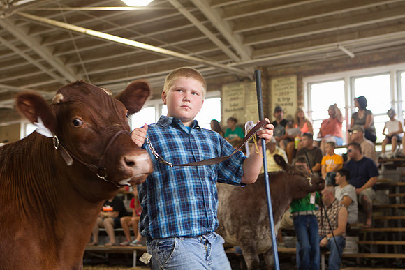 Photograph of Rock County 4-H Fair Taken 7-26-12