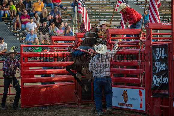 Big Hat Rodeo | Grayslake Rodeo | Lake County Fair
