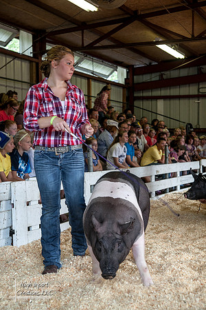 Janesville Photographers Rock County 4-H Fair Photographs
