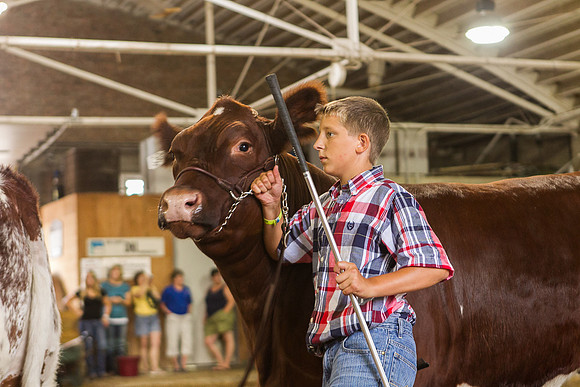 Photograph of Rock County 4-H Fair Taken 7-26-12