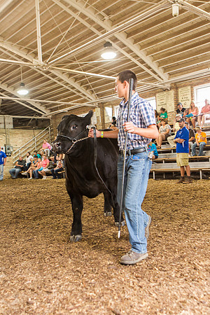 Photograph of Rock County 4-H Fair Taken 7-26-12