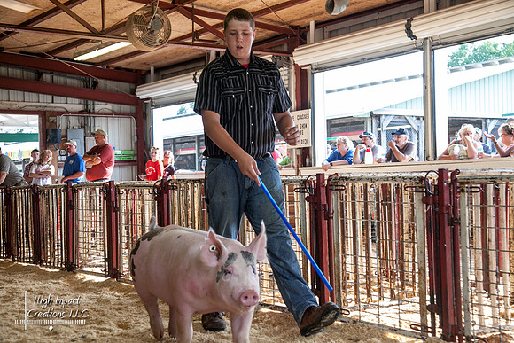 Janesville Photographers Rock County 4-H Fair Photographs