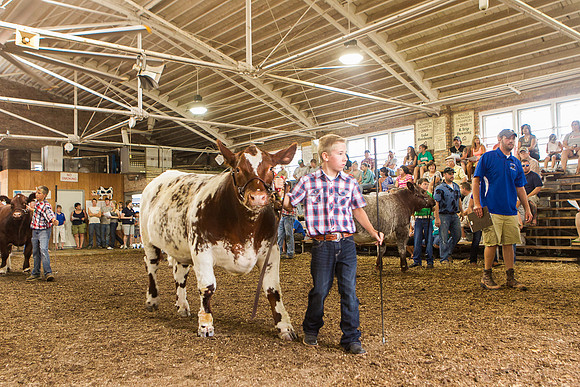 Photograph of Rock County 4-H Fair Taken 7-26-12