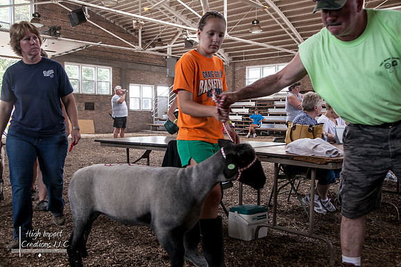 Janesville Photographers Rock County 4-H Fair Photographs