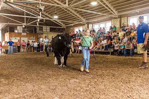 Photograph of Rock County 4-H Fair Taken 7-26-12