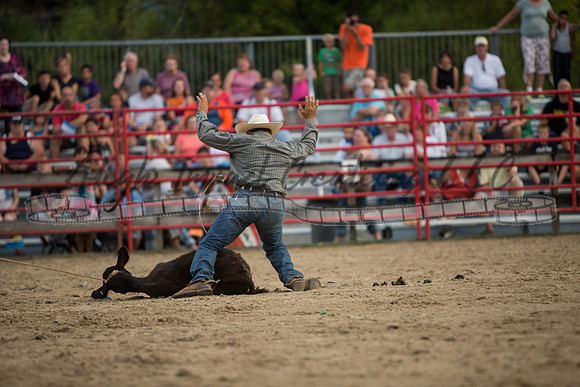 Big Hat Rodeo | Rockford 8-22-14