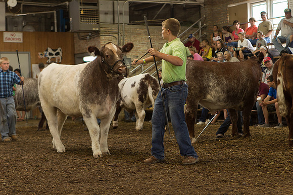 Photograph of Rock County 4-H Fair Taken 7-26-12