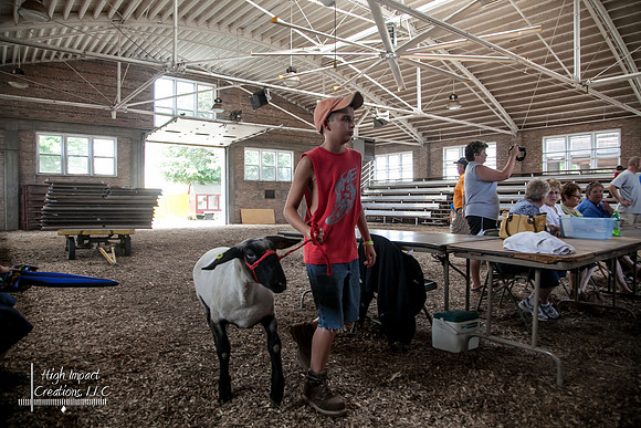 Janesville Photographers Rock County 4-H Fair Photographs