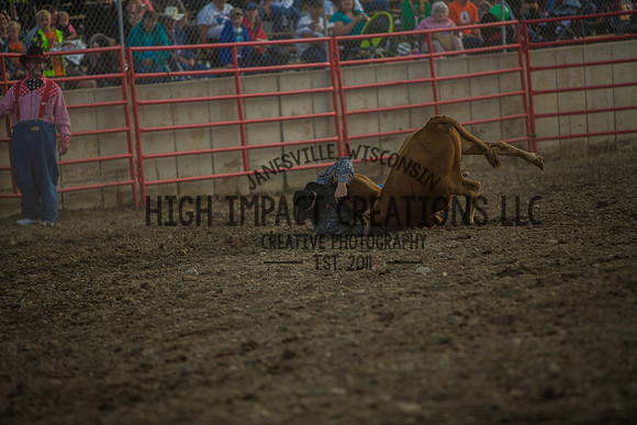 Big Hat Rodeo | Grayslake Rodeo | Lake County Fair