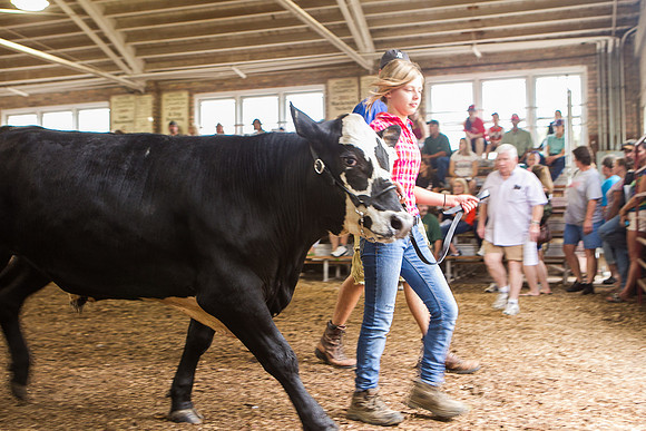 Photograph of Rock County 4-H Fair Taken 7-26-12